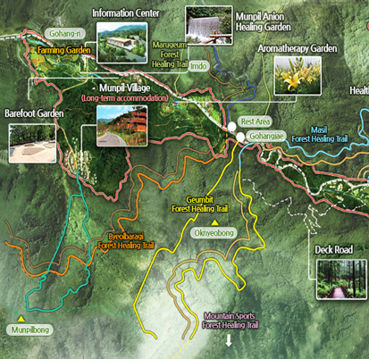 韓國國立山林治愈園案例研究