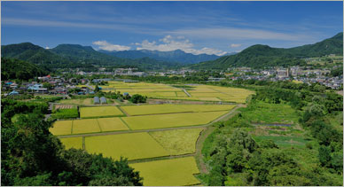 鄉村振興規劃關于農民