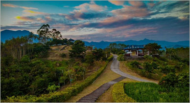 鄉村振興規劃關于農村