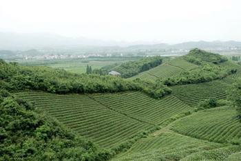 浙江杭州某生態(tài)休閑農(nóng)業(yè)園