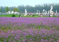 陜西寶雞市“十二五”休閑農業發展規劃
