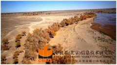 阿拉善盟黃河西岸烏蘭布和沙漠生態綜合治理區概念規劃及生態新區規劃