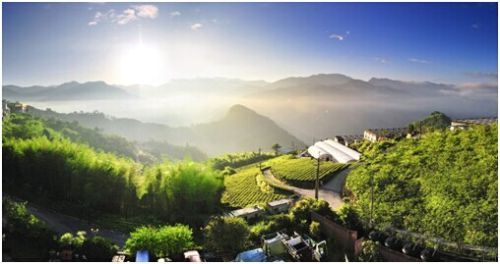 臺(tái)灣養(yǎng)老健康產(chǎn)發(fā)展規(guī)劃