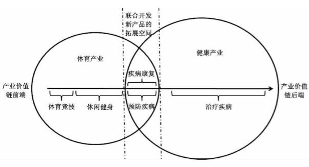 體育產業與健康產業協同發展模式示意圖
