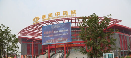 亳州市現(xiàn)代中藥城規(guī)劃案例