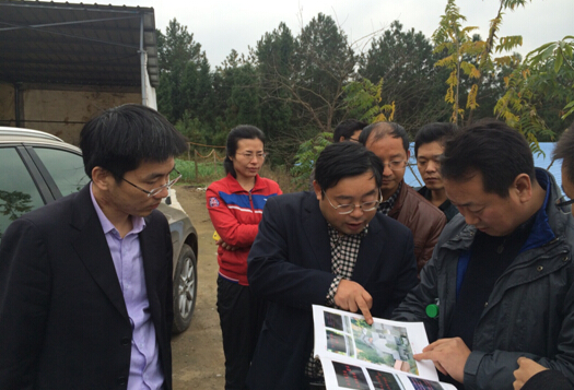 中機院專家組調研宣漢縣馬渡鄉小寨石林茶海觀光農業園總體建設規劃