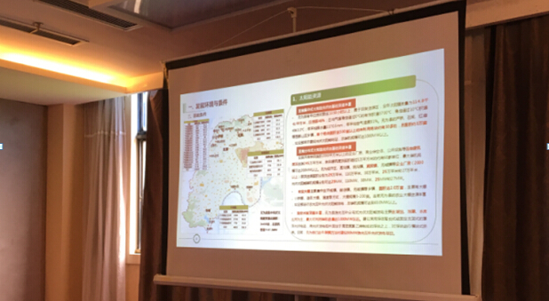 無為縣新能源產業發展規劃（2016-2030年）