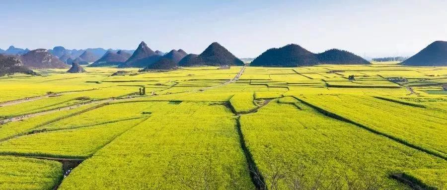 文旅振興鄉村規劃,文旅振興鄉村編制