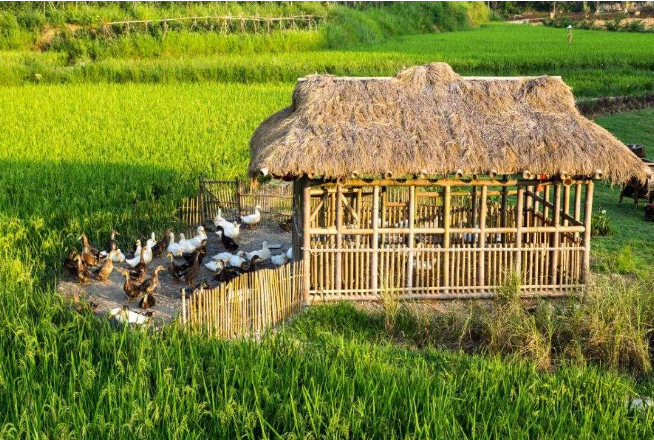 頂層田園綜合體方案,田園綜合體規劃