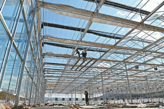 涪昭現代農業產業園規劃建設