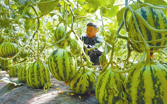 唐山生態農業規劃,唐山旅游觀光規劃