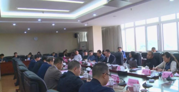 重慶墊江縣召開市文旅委“十四五”規劃試點研究工作座談會
