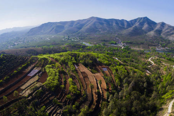 蒙陰縣田園綜合體規劃,蒙陰縣田園綜合體發展規劃