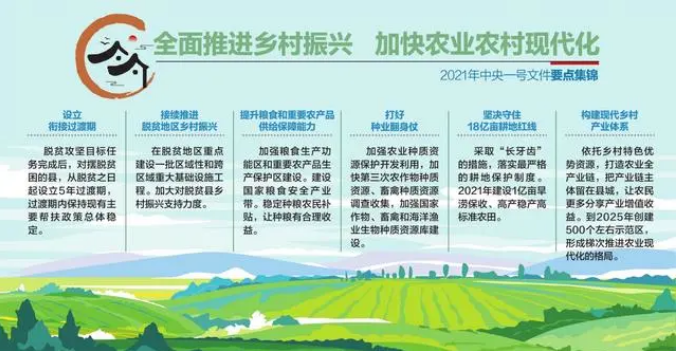 如何加快農(nóng)業(yè)農(nóng)村現(xiàn)代化
