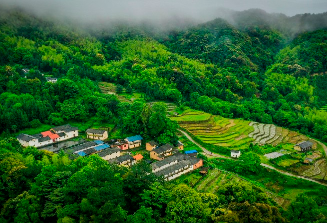 重慶D縣鄉(xiāng)村產(chǎn)業(yè)振興規(guī)劃問題