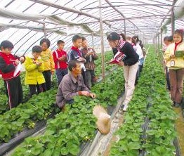 休閑農業規劃