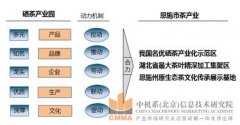 恩施硒茶產業園產業規劃與招商前置研究