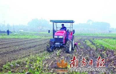 目前清遠第一產業(yè)比重偏重，且內部結構不合理，農業(yè)“市場化、設施化、規(guī)模化、產業(yè)化”的水平有待進一步提高。