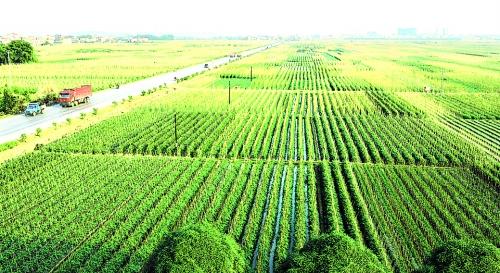 循環經濟產業園規劃
