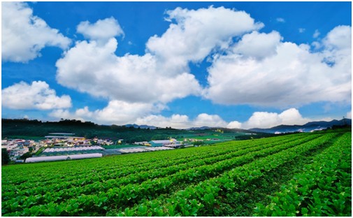 城市化背景下農(nóng)村休閑農(nóng)業(yè)的發(fā)展對策研究