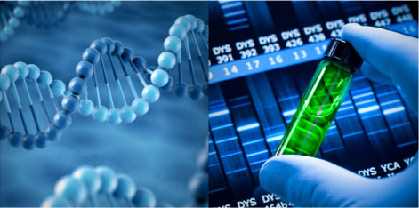 《科技北京行動計劃》將生物醫藥產業作為八大科技振興產業工程之一