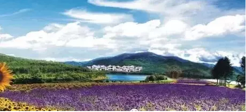 休閑農(nóng)業(yè)做內(nèi)質(zhì),忌王婆賣瓜