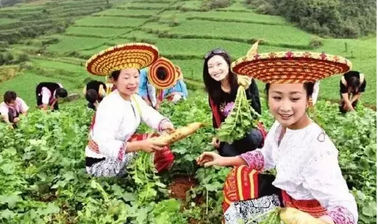 休閑農(nóng)業(yè)做市場,忌盲從領(lǐng)導(dǎo)