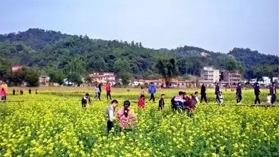 休閑農(nóng)業(yè)做模式,忌東施效顰