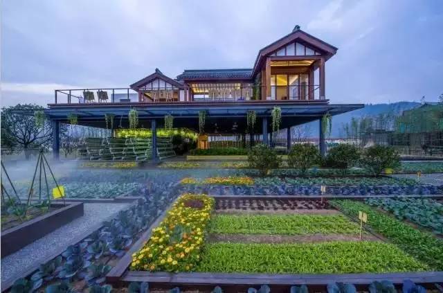 中機院專家解析：田園綜合體是農業還是地產，還是旅游呢?