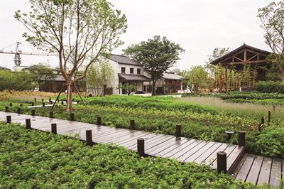 夯實基礎、補齊短板是田園綜合體建設試點的重中之重