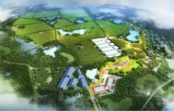 總投資約9億元的鄉村振興戰略——“一山一溪一帶”田園綜合體