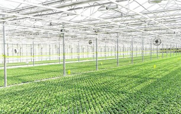 未來農業的發展趨勢,7個方向都是賺錢機遇