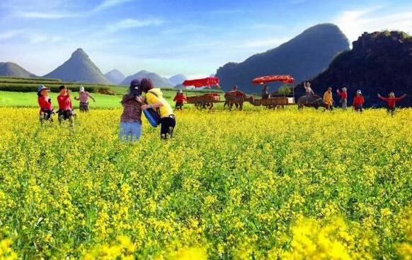 如何選址開發休閑農業？看鄉村旅游開發的7大模式，29種類型