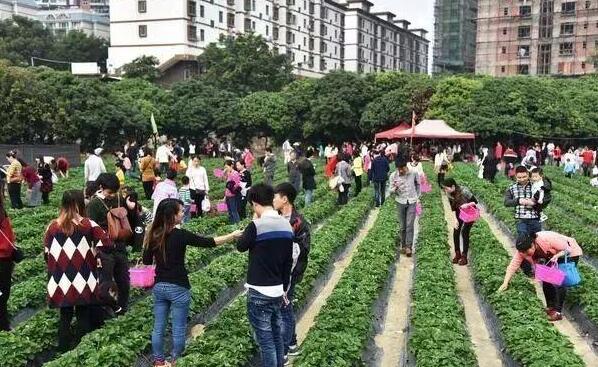 做休閑農業如何找到合適的位置？