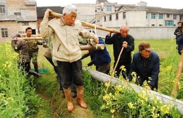 建設什么樣的特色小鎮和美麗農村?