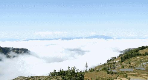 田園綜合體怎么做？三產融合發揮產業鏈價值