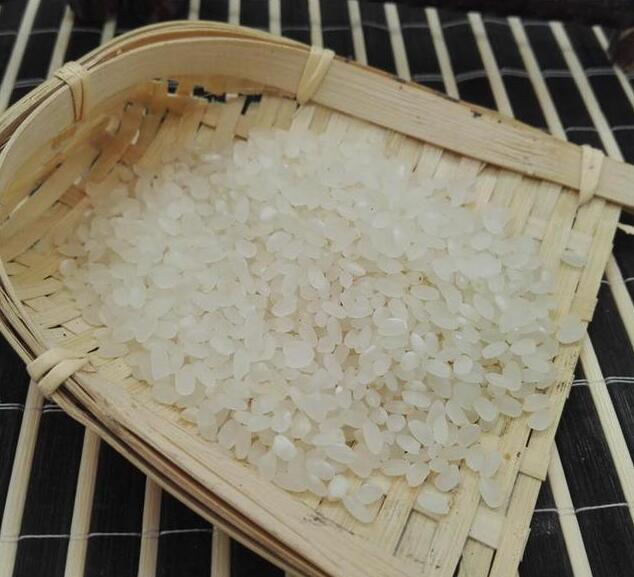 有機農(nóng)業(yè)
