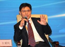 王愛民:一帶一路園區建設為文化創意產業走出去開拓了新的渠道