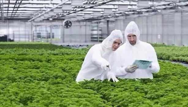  2018年農業綜合開發的扶持方式有哪些？申報條件有哪些？