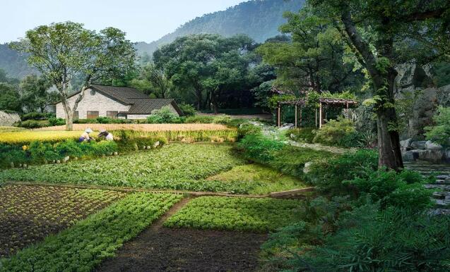 田園綜合體建設