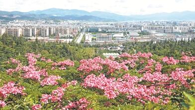 在長(zhǎng)江經(jīng)濟(jì)帶建設(shè)中，普洱要扮演怎樣的角色？