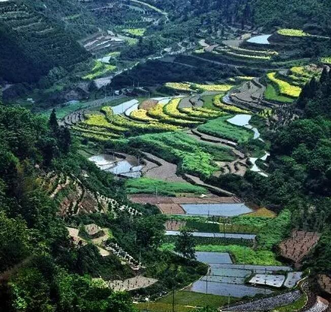 田園綜合體將成為鄉(xiāng)村振興戰(zhàn)略的支點