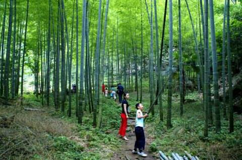 “中國(guó)竹器之鄉(xiāng)”羊樓司鎮(zhèn)，成為湖南特色產(chǎn)業(yè)小鎮(zhèn)建設(shè)的“排頭兵”