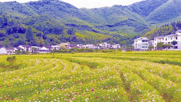 井岡山市把羅浮雙養小鎮、茅坪紅色文旅小鎮的建設