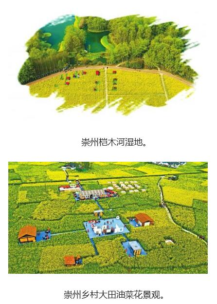 崇州鄉村振興發展