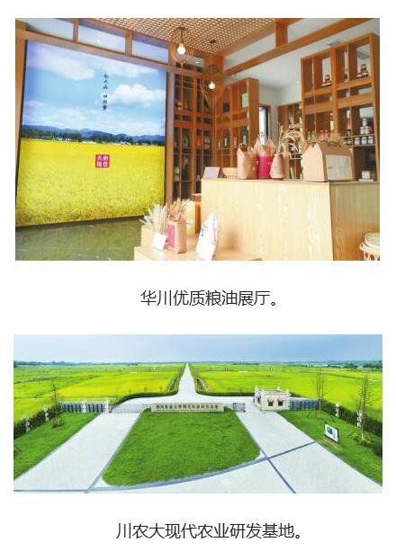 崇州鄉村振興發展