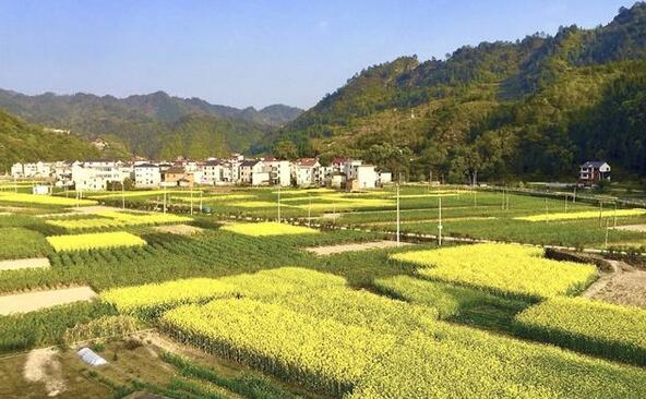 重慶奉節(jié)縣將重點(diǎn)打造打造29個(gè)鄉(xiāng)村振興示范點(diǎn)