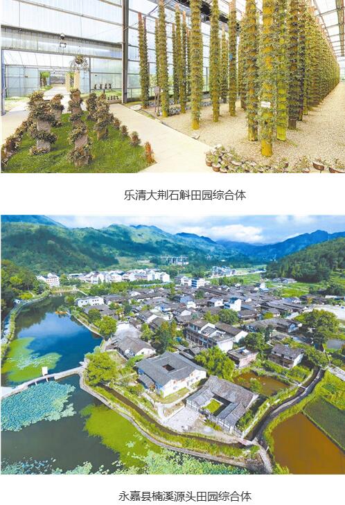 溫州市共謀劃了109條鄉(xiāng)村振興示范帶，今年率先啟動22條示范帶的建設