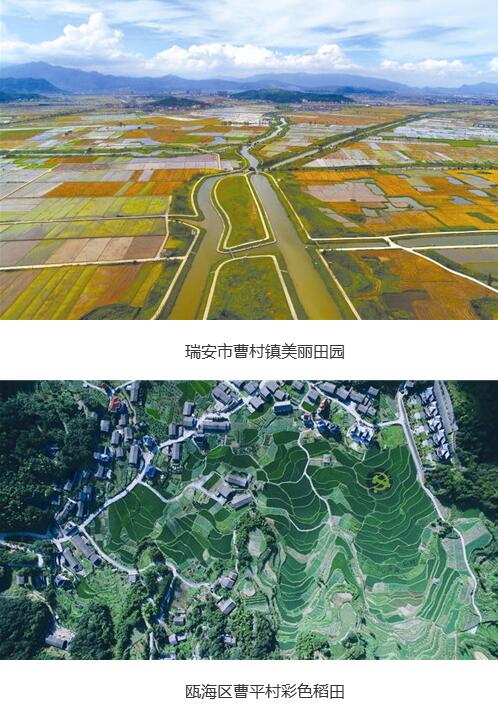 溫州市共謀劃了109條鄉(xiāng)村振興示范帶，今年率先啟動22條示范帶的建設