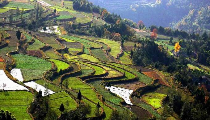 云南以田園綜合體建設(shè)理念為指導(dǎo)，加大力度支持農(nóng)業(yè)綜合開發(fā)